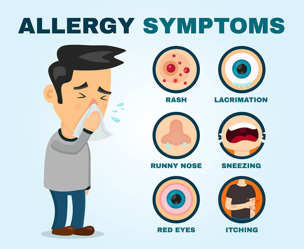 Allergy Symptoms Infographic
